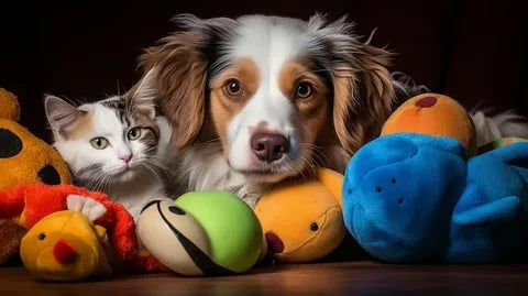 Interactive Pet Toys & Chew Toys