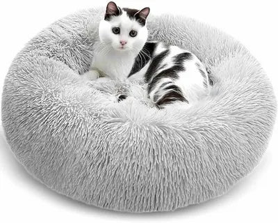 Pet Beds, Blankets & Comfort Gear